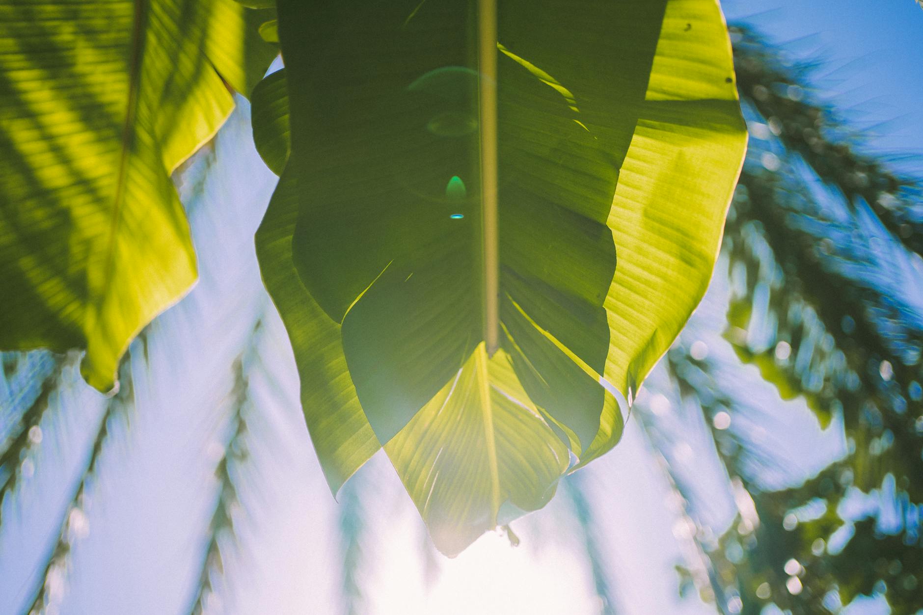 Pexels photo 14351877