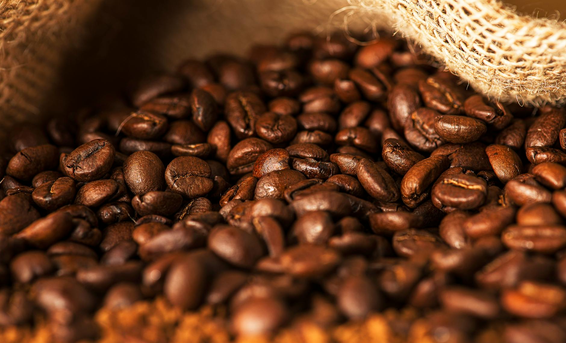 The Unexpected Alchemy of Coffee and Cryptocurrency: A Brew of Innovation