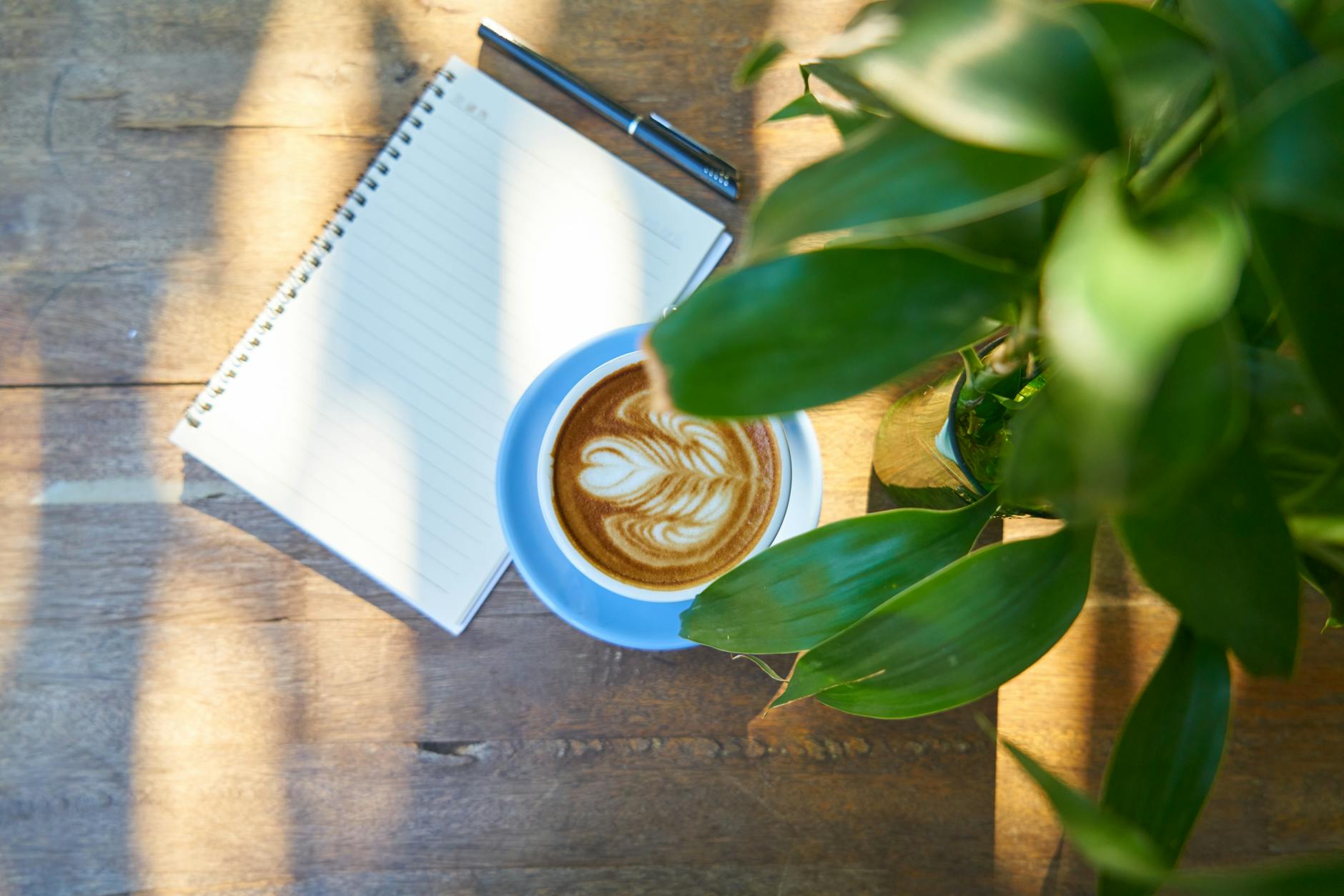 Crypto Bro Charlie’s Guide to Ethical Coffee & Lambo-Fueling Investments!